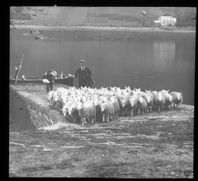 Sheep Ferry, Dornie. Landed. Anon.